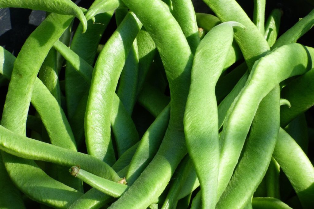 Garder les légumes frais plus longtemps