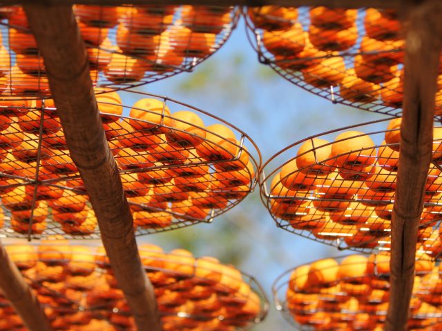 Produits de saison : pourquoi votre alimentation et la planète vous remercieront